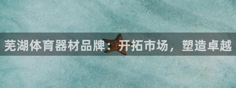 加盟极悦教育：芜湖体育器材品牌：开拓市场，塑造卓越