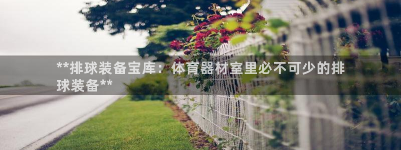 极悦平台登录方式：**排球装备宝库：体育器材室里必不