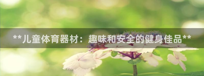 极悦平台注册官方网站下载：**儿童体育器材：趣味和安