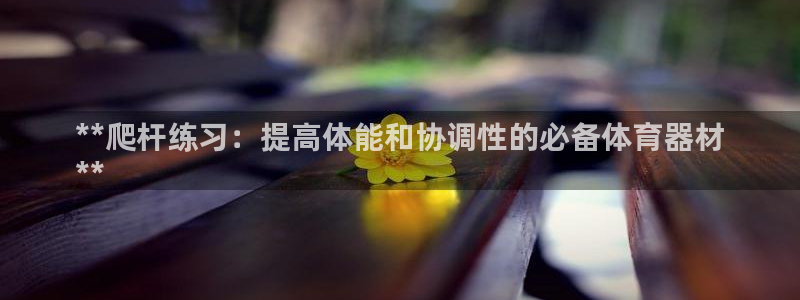 极悦平台的注册流程及注意事项有哪些：**爬杆练习：提