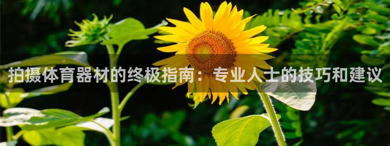 极悦平台官网登录网址查询：拍摄体育器材的终极指南：专