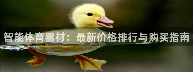极悦娱乐官网最新版本更新内容是什么：智能体育器材：最