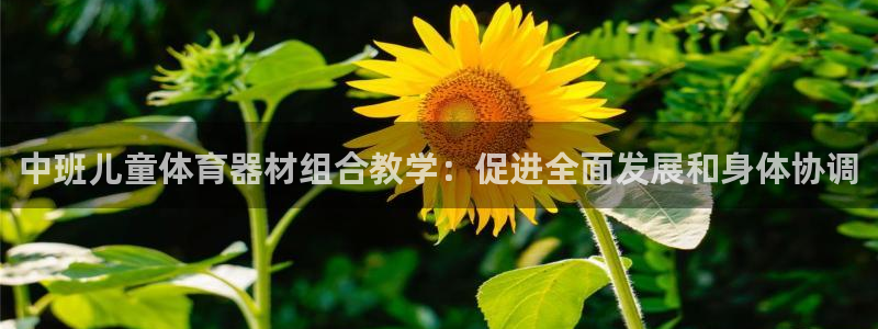 极悦娱乐公司最新招聘信息：中班儿童体育器材组合教学：