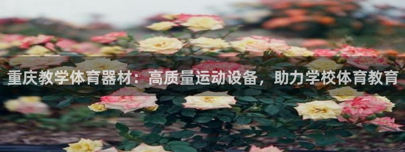 极悦平台是干什么的啊：重庆教学体育器材：高质量运动设
