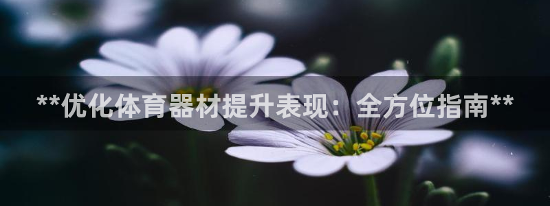 极悦平台注册官方网站下载安卓手机：**优化体育器材提