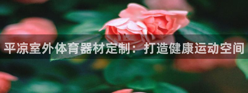 极悦娱乐官网下载：平凉室外体育器材定制：打造健康运动