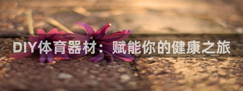 极悦平台app二维码怎么弄：DIY体育器材：赋能你的