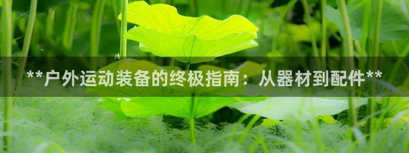 极悦平台非7O777：**户外运动装备的终极指南：从