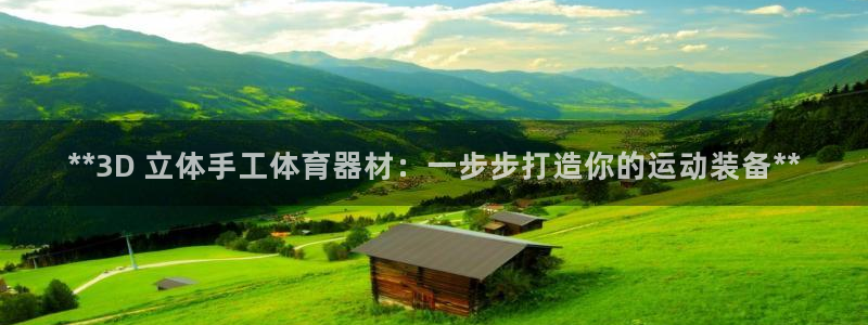 极悦平台注册登录：**3D 立体手工体育器材：一步步