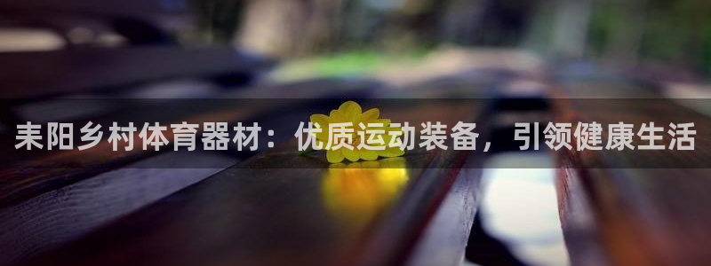 极悦注册：耒阳乡村体育器材：优质运动装备，引领健康生