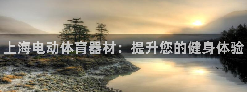 极悦平台用户反馈和反馈一样吗：上海电动体育器材：提升