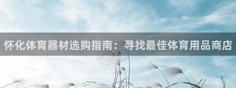 极悦平台代理怎么赚钱的：怀化体育器材选购指南：寻找最