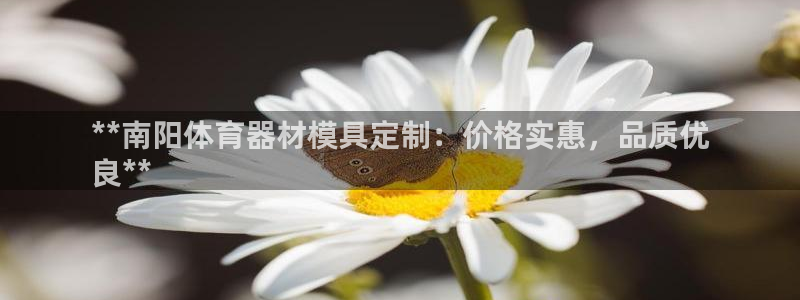 极悦平台官网登录入口网址是什么：**南阳体育器材模具