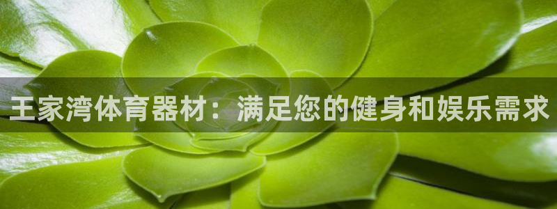 极悦平台注册登录入口：王家湾体育器材：满足您的健身和