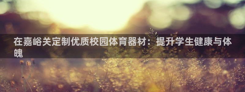 极悦娱乐代理人是谁呀：在嘉峪关定制优质校园体育器材：