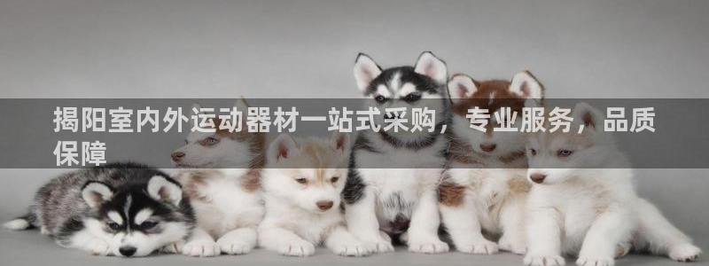 苏州极悦信息科技有限公司：揭阳室内外运动器材一站式采