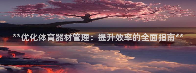 极悦平台代理怎么样：**优化体育器材管理：提升效率的