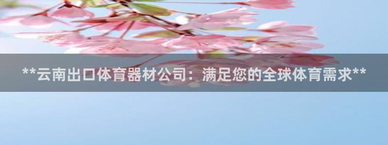 极悦娱乐百科百度：**云南出口体育器材公司：满足您的