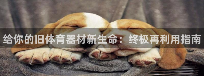 极悦平台官网登录网址查询：给你的旧体育器材新生命：终极再利用