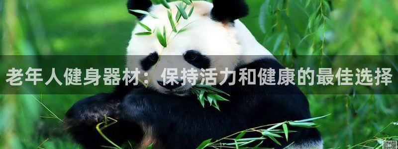 极悦娱乐游戏中心：老年人健身器材：保持活力和健康的最