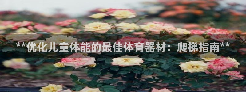 极悦平台注册登录入口在哪：**优化儿童体能的最佳体育