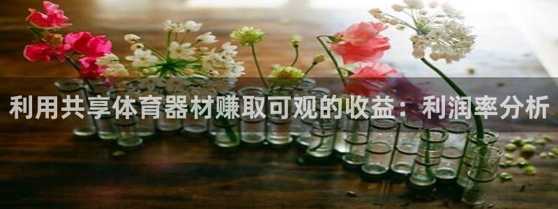 极悦平台好7.0.2.4怎么样：利用共享体育器材赚取