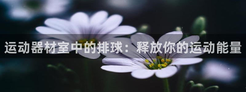 极悦平台注册登录不上：运动器材室中的排球：释放你的运动能量