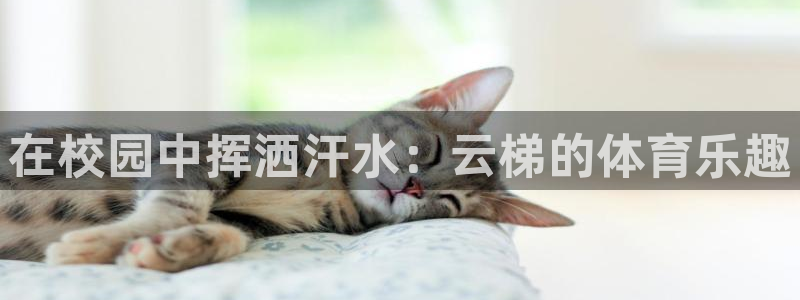 极悦娱乐官网最新版本更新内容：在校园中挥洒汗水：云梯