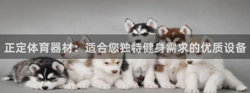 深圳极悦文化传媒有限公司：正定体育器材：适合您独特健