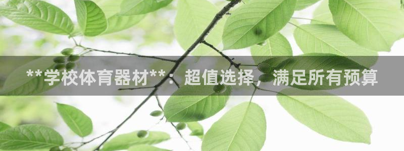 极悦平台官方网站入口：**学校体育器材**：超值选择