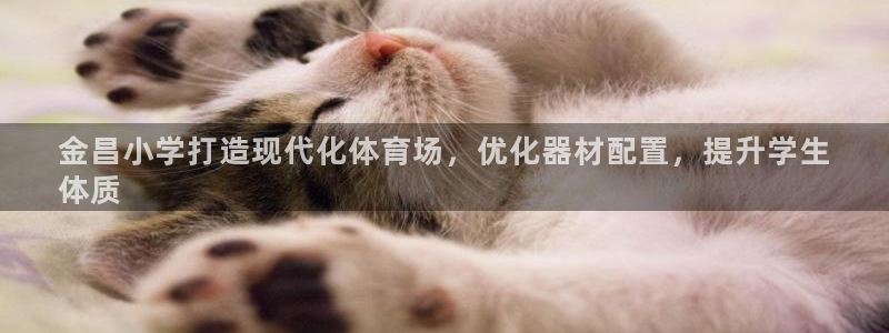 极悦娱乐官网客服联系方式：金昌小学打造现代化体育场，
