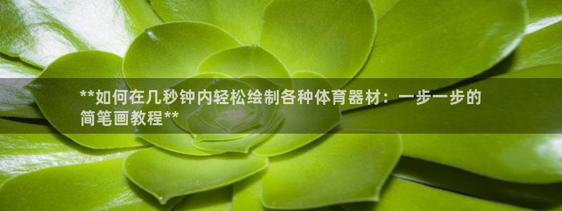 加盟极悦教育：**如何在几秒钟内轻松绘制各种体育器材