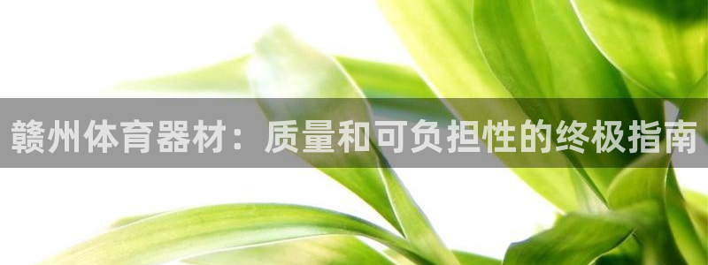 极悦生活家是什么平台的产品：赣州体育器材：质量和可负