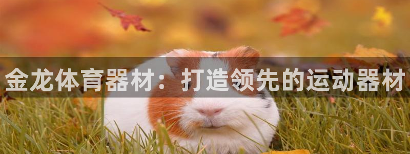 极悦平台是正规平台吗安全吗：金龙体育器材：打造领先的
