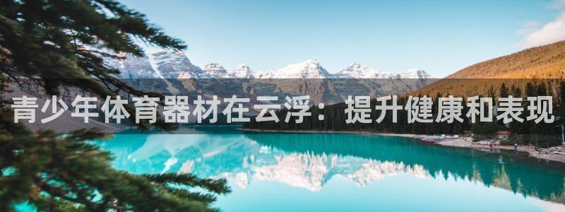 极悦平台注册用户名验证不了：青少年体育器材在云浮：提