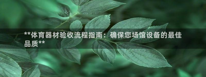 极悦官方网站入口网址是多少：**体育器材验收流程指南