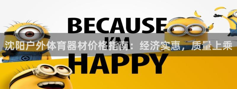 极悦平台官方网站首页：沈阳户外体育器材价格指南：经济