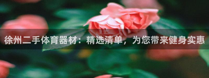 极悦平台好7.0.2.4怎么样：徐州二手体育器材：精
