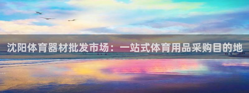 极悦娱乐股东：沈阳体育器材批发市场：一站式体育用品采