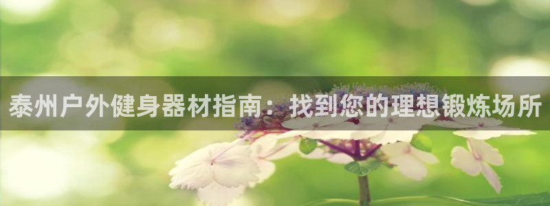 极悦平台官方网站入口链接下载：泰州户外健身器材指南：