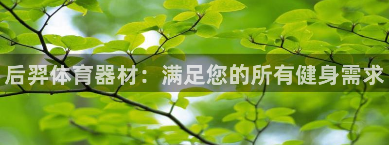 极悦平台app安全吗：后羿体育器材：满足您的所有健身