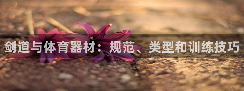 极悦平台官网登录网址查询：剑道与体育器材：规范、类型