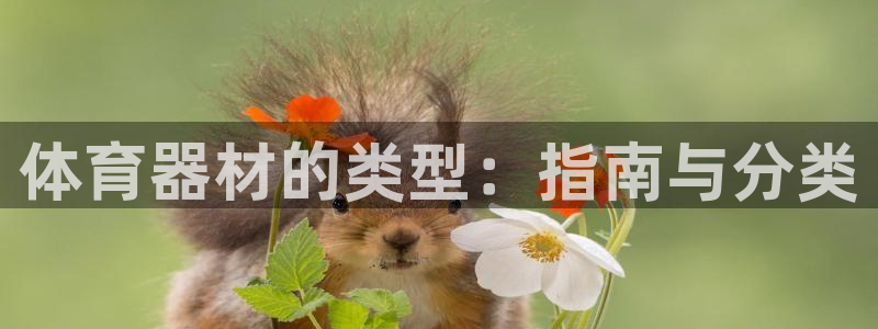 石家庄极悦空间设计有限公司：体育器材的类型：指南与分