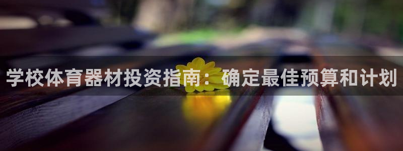 极悦平台官网登录不了怎么回事：学校体育器材投资指南：