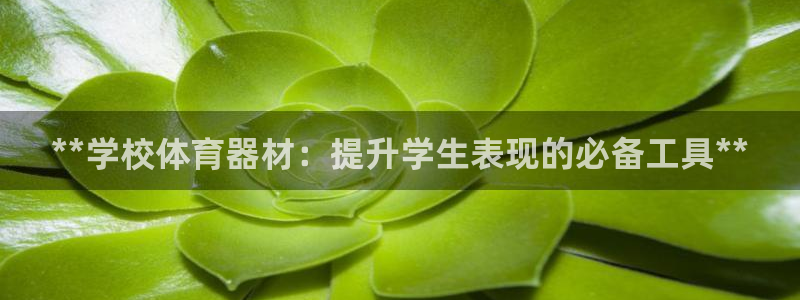 极悦平台用户评价：**学校体育器材：提升学生表现的必