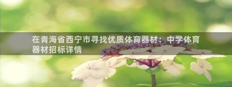 极悦平台注册流程图：在青海省西宁市寻找优质体育器材：