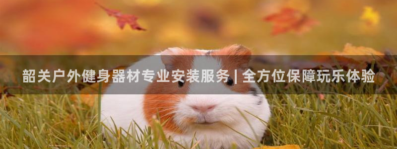 极悦娱乐：韶关户外健身器材专业安装服务 | 全方位保