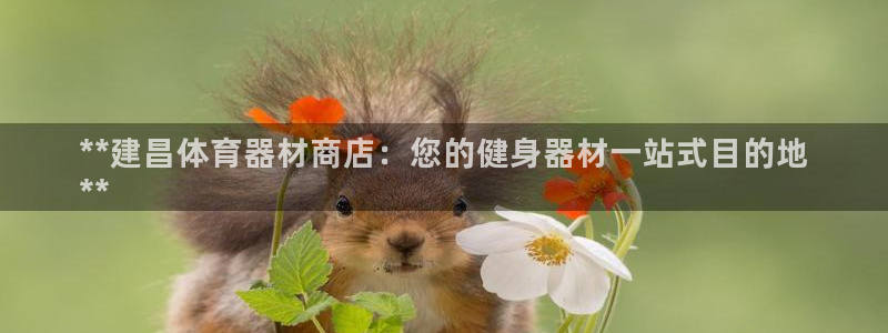 极悦平台官方网站登录网址：**建昌体育器材商店：您的