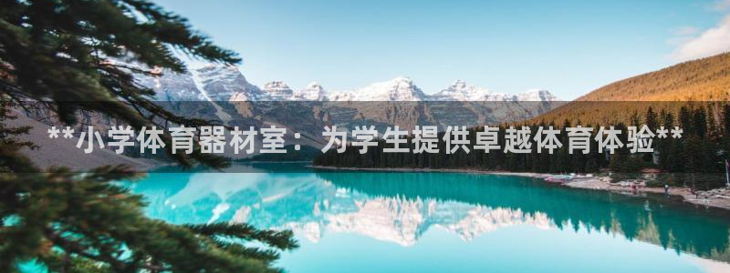 极悦平台官方网址是什么：**小学体育器材室：为学生提供卓越体