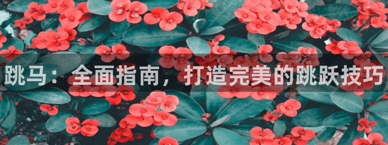 极悦平台决7O777：跳马：全面指南，打造完美的跳跃技巧